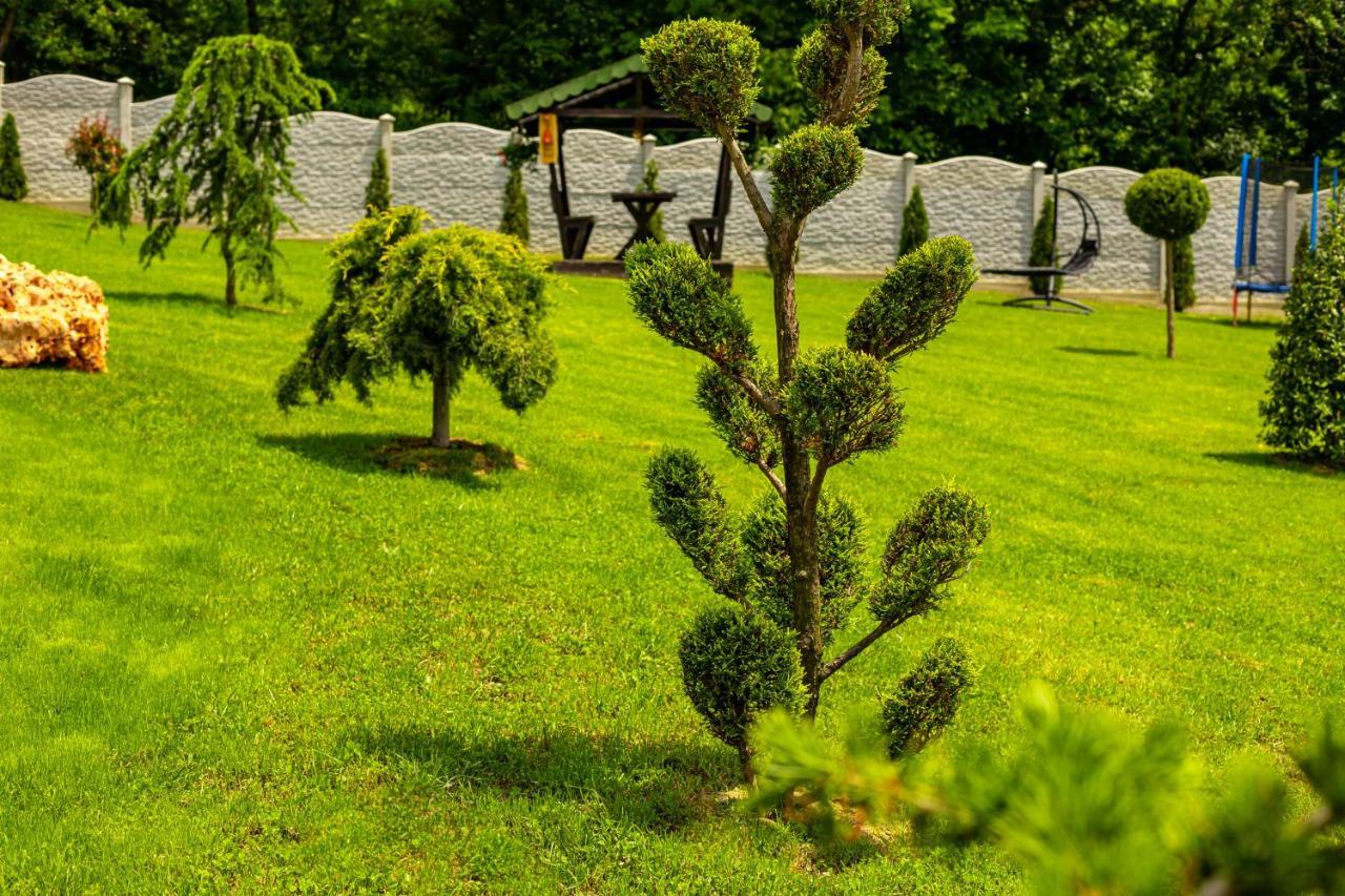 Pensiunea Valea Magurii Novaci-Străini Exteriér fotografie